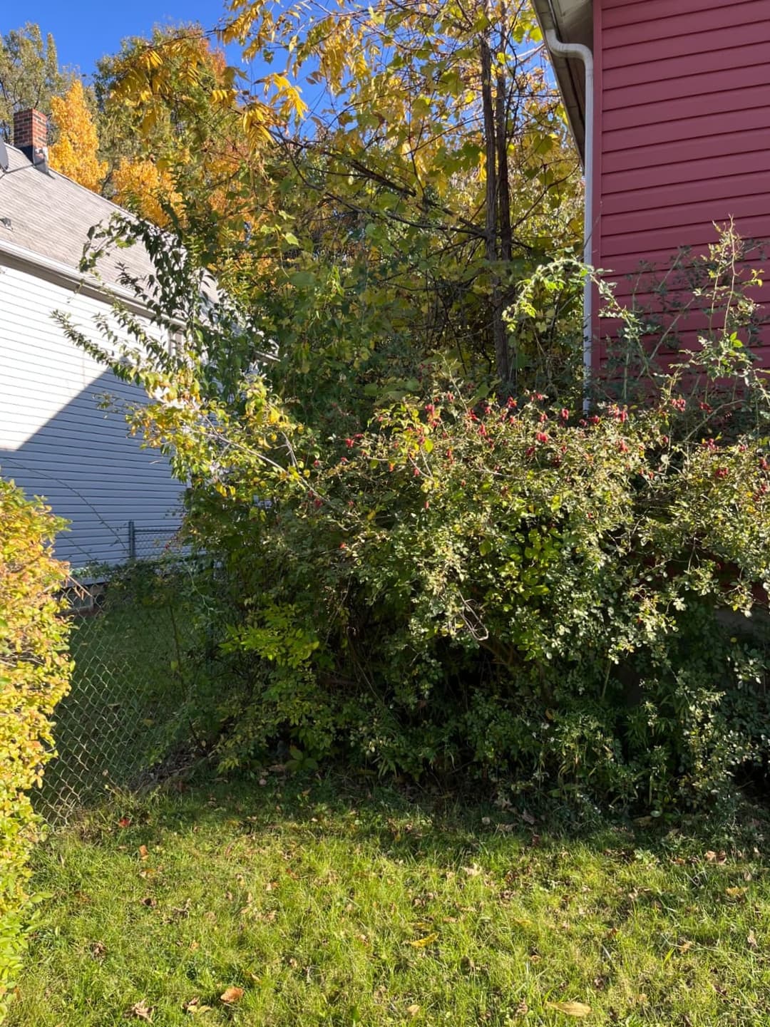 Breaker panel upgrade and circuit breaker replacement in Pittsburgh house.