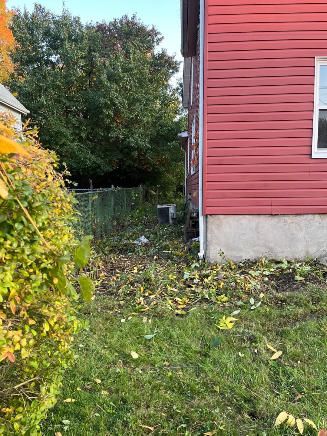 Overgrown bushes trimmed and removed from side of home to expose clean foundation
