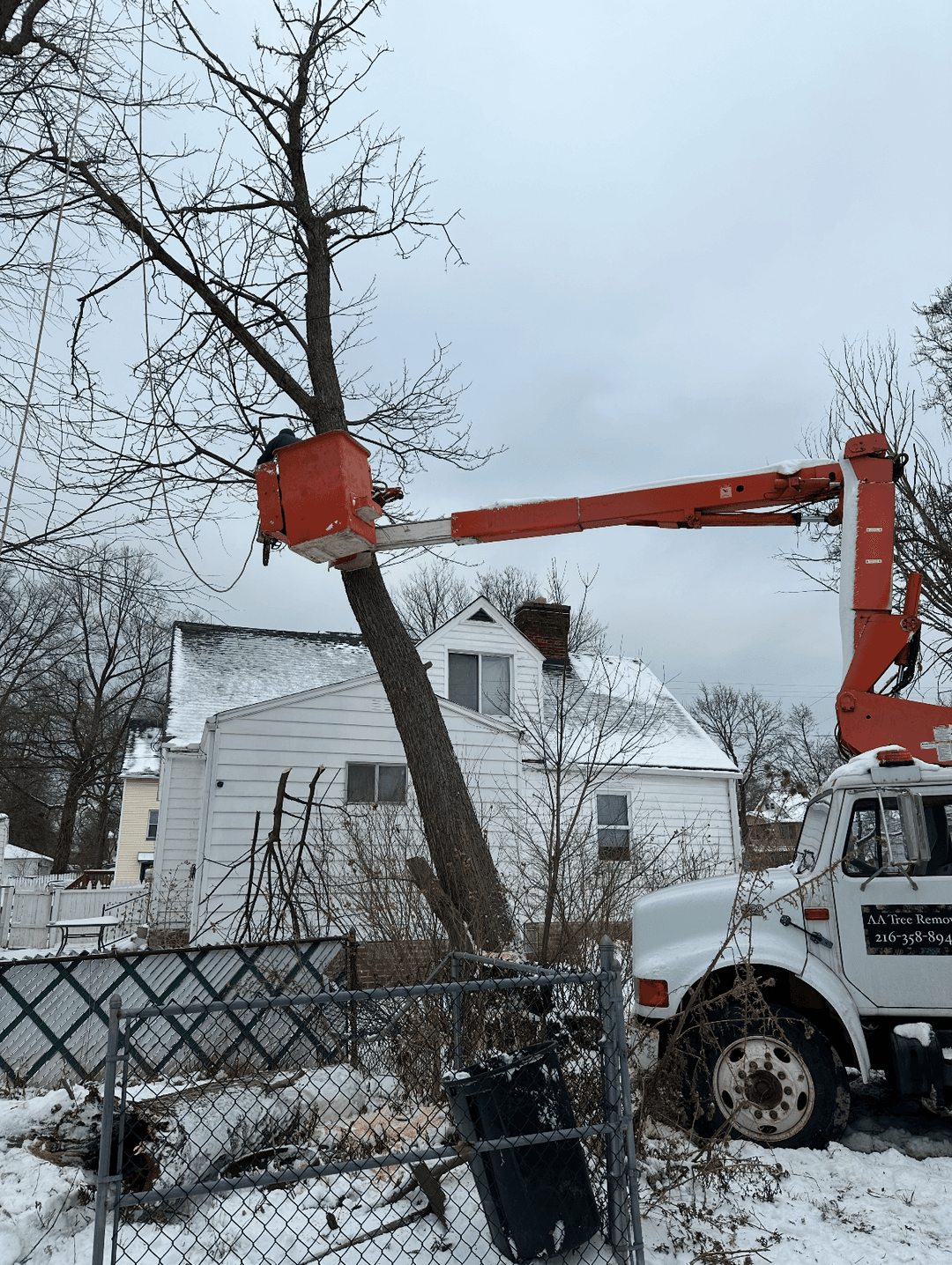 Bucket truck lifting arborist to safely remove branches from tall tree
